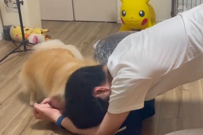 飼主運動嗨翻博美!堅持「洗遍全臉」 眾笑:怎麼做下去