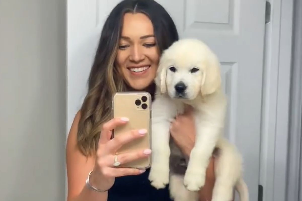 ▲正妹樂秀愛犬暴風成長史，眾人全驚：「怎麼長這麼快」。（圖／Instagram：louiethecream） 