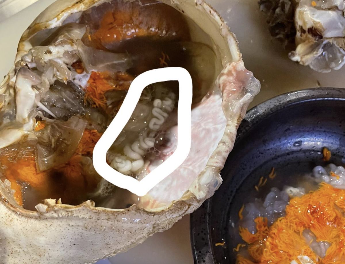 ▲有網友在吃螃蟹時，突然發現裡頭有一根像泡麵般彎曲的長條物。（圖／翻攝自爆廢公社公開版）