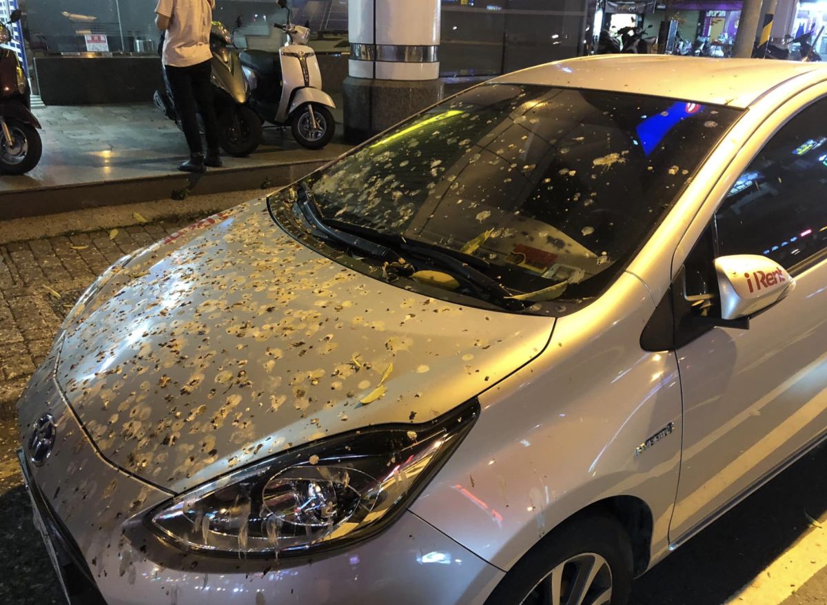 ▲一名網友在網路上分享，他在路邊停車格發現一台汽車上頭充滿著「鳥屎炸彈」。（圖／翻攝自爆廢公社）