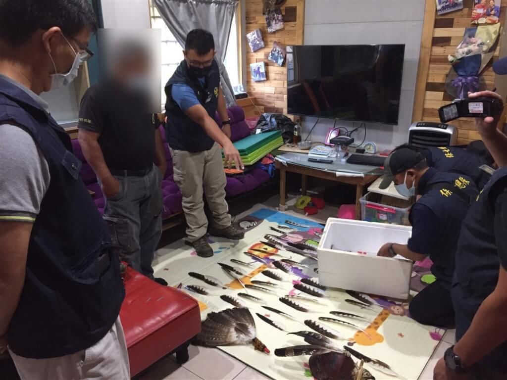 ▲陳姓男子涉在屏東來義鄉山區違法獵捕熊鷹後製作成頭飾，日前遭警方逮捕依法送辦，並查扣相關產製品及犯罪工具等。（保七總隊第八大隊提供）
