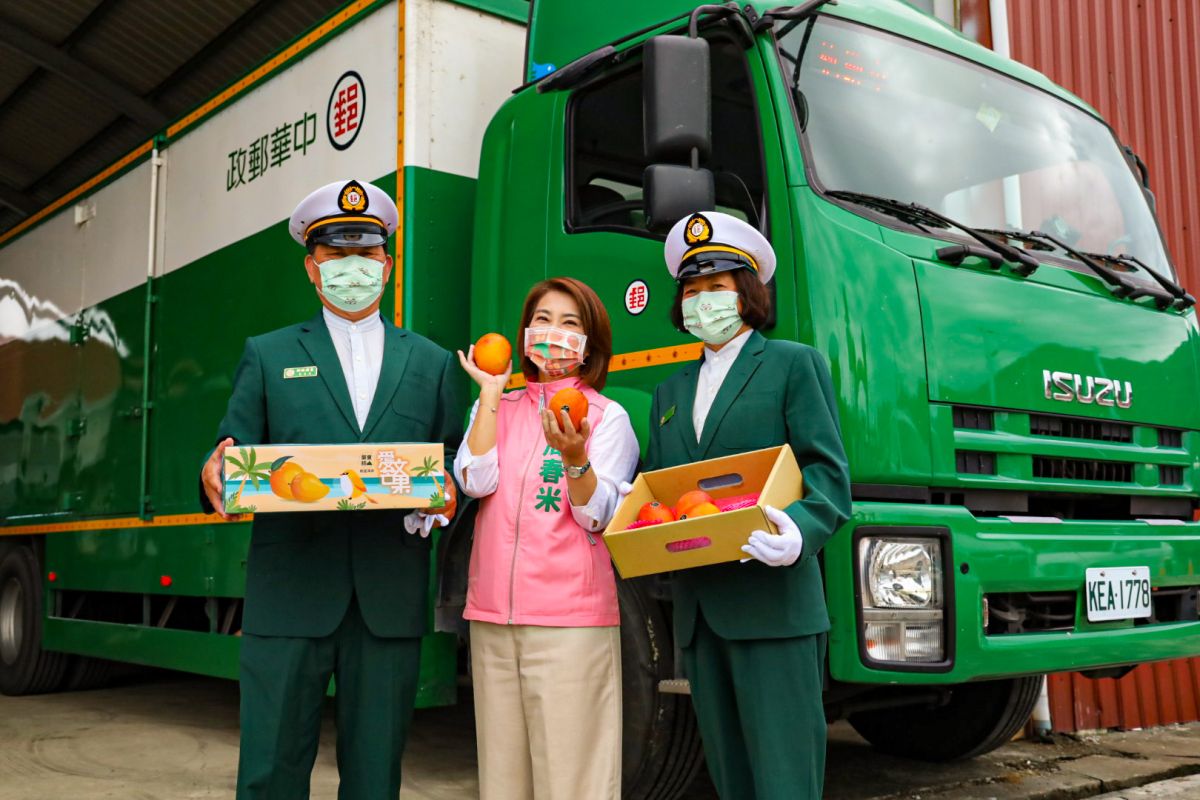 ▲周春米說，屏東枋山愛文芒果的產季即將來臨，期盼大家能一起支持屏東在地美味。（圖／周春米辦公室提供）