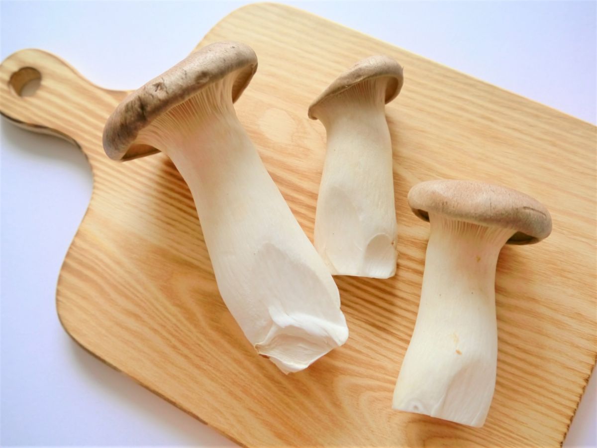 ▲杏鮑菇是相當熱門的食材。（示意圖／取自photoAC）