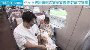 ▲一般情況下，寵物們需被緊關於籠內，JR東日本新幹線的寵物車廂則可讓寵物與主人一同坐在座位上。（圖／Twitter：livedoornews）