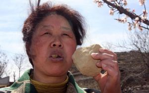 ▲(圖/翻攝自河北青年報) ▲(圖/翻攝自河北青年報)