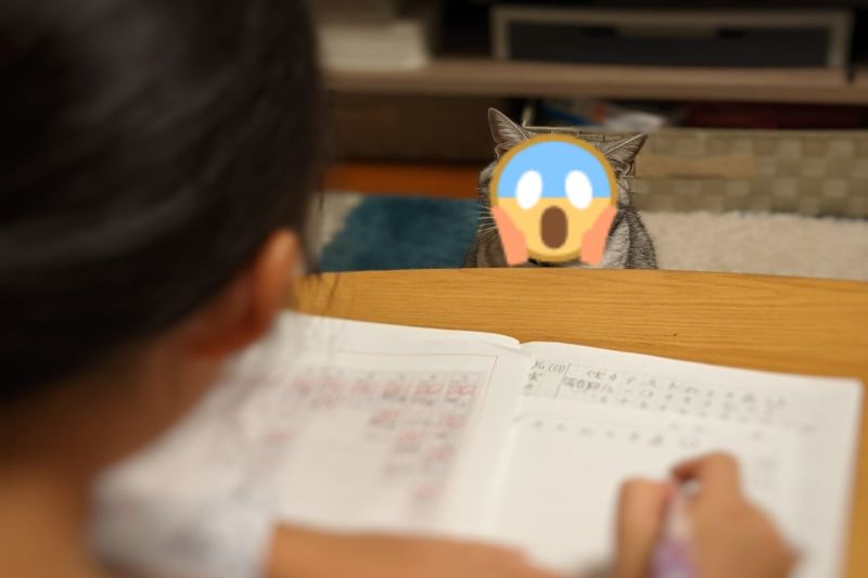 ▲日本一名推主的女兒寫作業時，竟遭到自家貓咪臭臉監督。（圖／推特帳號nakagawa1973）
