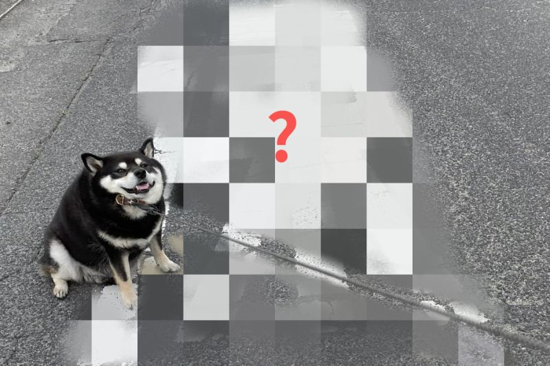 ▲日本一隻黑色柴犬散步時，看見地上2個字竟然馬上開啟「拒否柴」模式。（圖／推特帳號07tarou09）