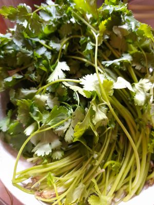 ▲不少主婦在家包水餃,也都會將內餡的香菜比例提高。(圖/翻攝《廚藝公社》) ▲不少主婦在家包水餃,也都會將內餡的香菜比例提高。(圖/翻攝《廚藝公社》)