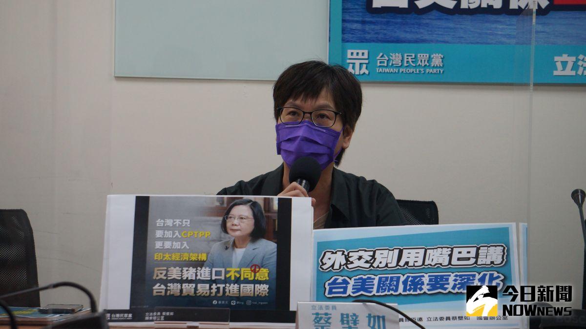 ▲憂慮NCC成為認知作戰中心，民眾黨立委蔡壁如表示，黨團決議對NCC人事同意權不進場投票。（圖／記者呂炯昌攝，2022.05.24）