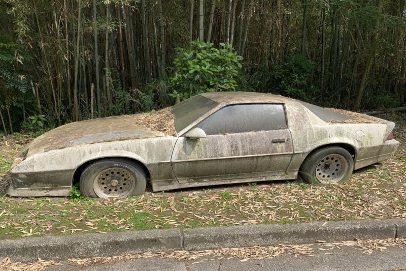 ▲日本一名網友在爺爺家附近看到一輛廢棄已久的汽車，感到相當好奇又神秘。（圖／推特帳號ns1_tuuyan）
