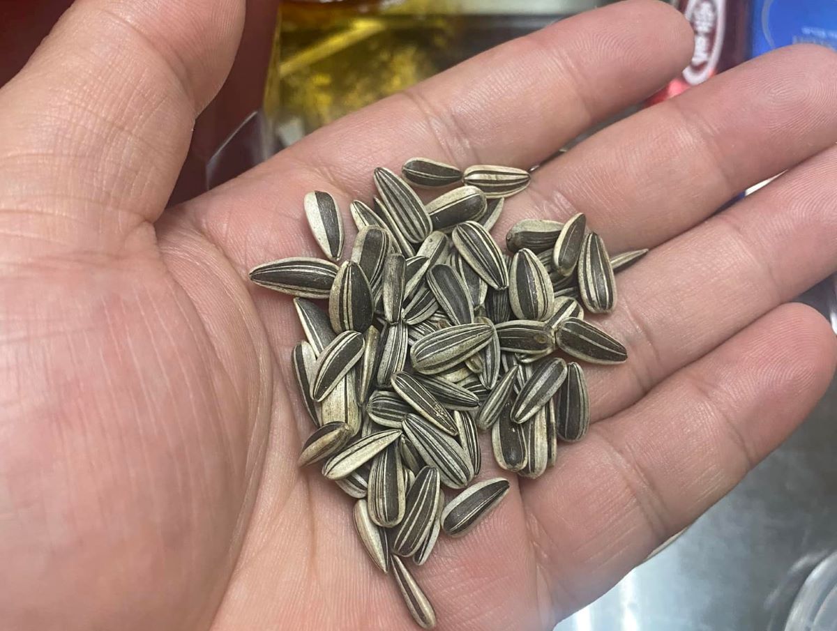 ▲有網友指出，最近有長輩到家中作客卻偷吃瓜子，隨即用「一句話」讓兇手刷整排承認。（圖／翻攝爆廢公社公開版臉書）