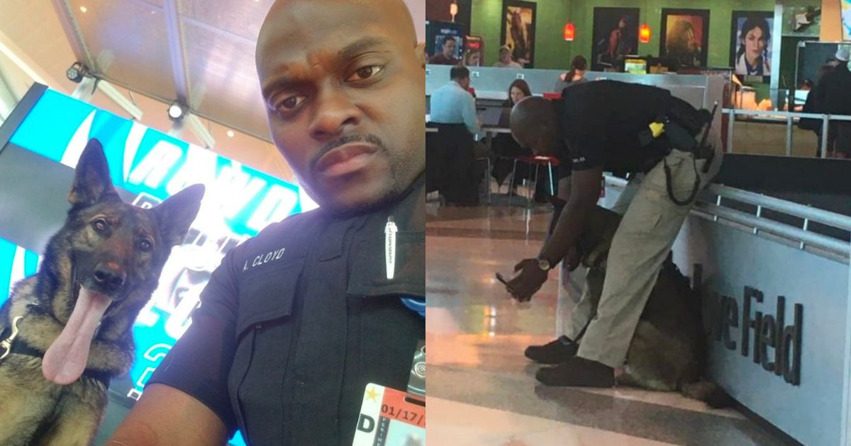 ▲吉娜捕捉到安德烈和Zigi一起自拍的可愛畫面。（圖／Facebook@Gina Anzaldua Stevenson） 