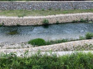 中市惠來溪上游整治後 議員:污染惡臭 ▲議員陳淑華指出,惠來溪水、污廢水涇渭分明,民眾說這是「陰陽海」的概念(圖/陳淑華服務處提供2022.5.26)