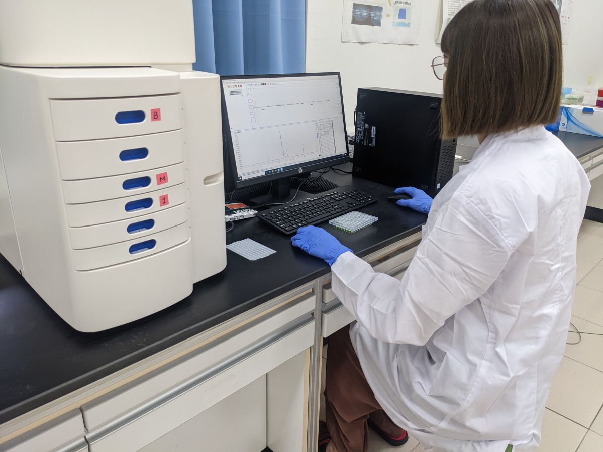 ▲核酸鑑定人員進行春蘭品種核酸圖譜比對。（圖／高雄區農業改良場提供）