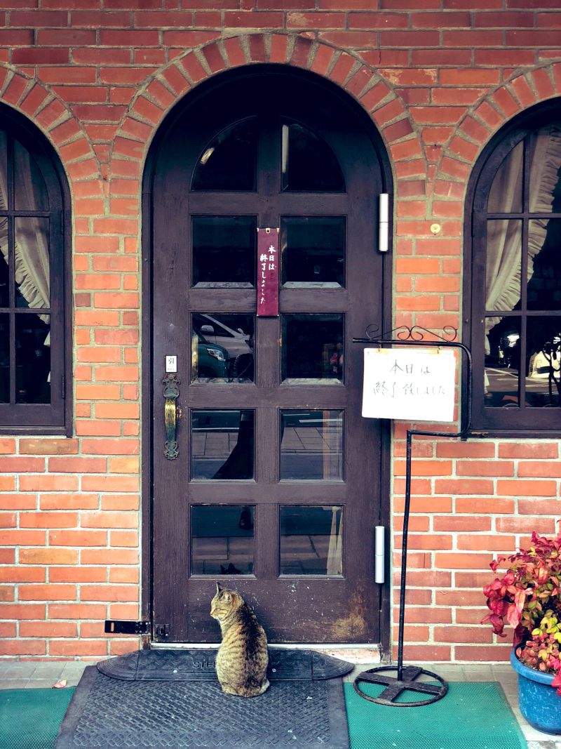▲顧客表示當咖啡廳結束營業後，也會看到流連忘返的貓貓在外頭守著。（圖／Twitter：hatimitukanbin）