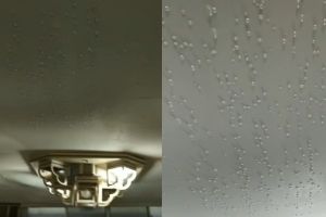 ▲原PO分享樓下住戶家的影片，只見天花板出現許多小水滴，疑似是與建材不良有關。（圖／翻攝自《爆料公社二社》）