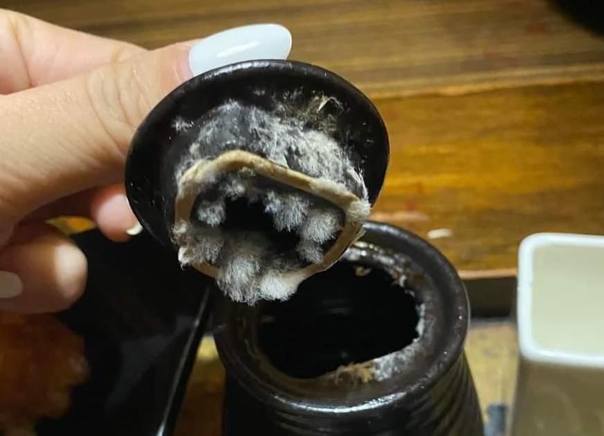 ▲一名網友分享，在台中某居酒屋用餐時，將桌上的醬油壺蓋子打開，驚見蓋上長滿毛茸茸的黴菌，甚至連水壺都堆積污垢，拍照上傳後引發轟動。（圖／翻攝自爆料公社）