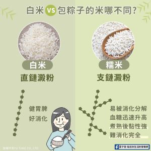 糯米跟白米有哪裡不同?(圖/截取自《夏子雯-貼近你生活的營養師》) ▲糯米跟白米有哪裡不同?(圖/截取自《夏子雯-貼近你生活的營養師》)