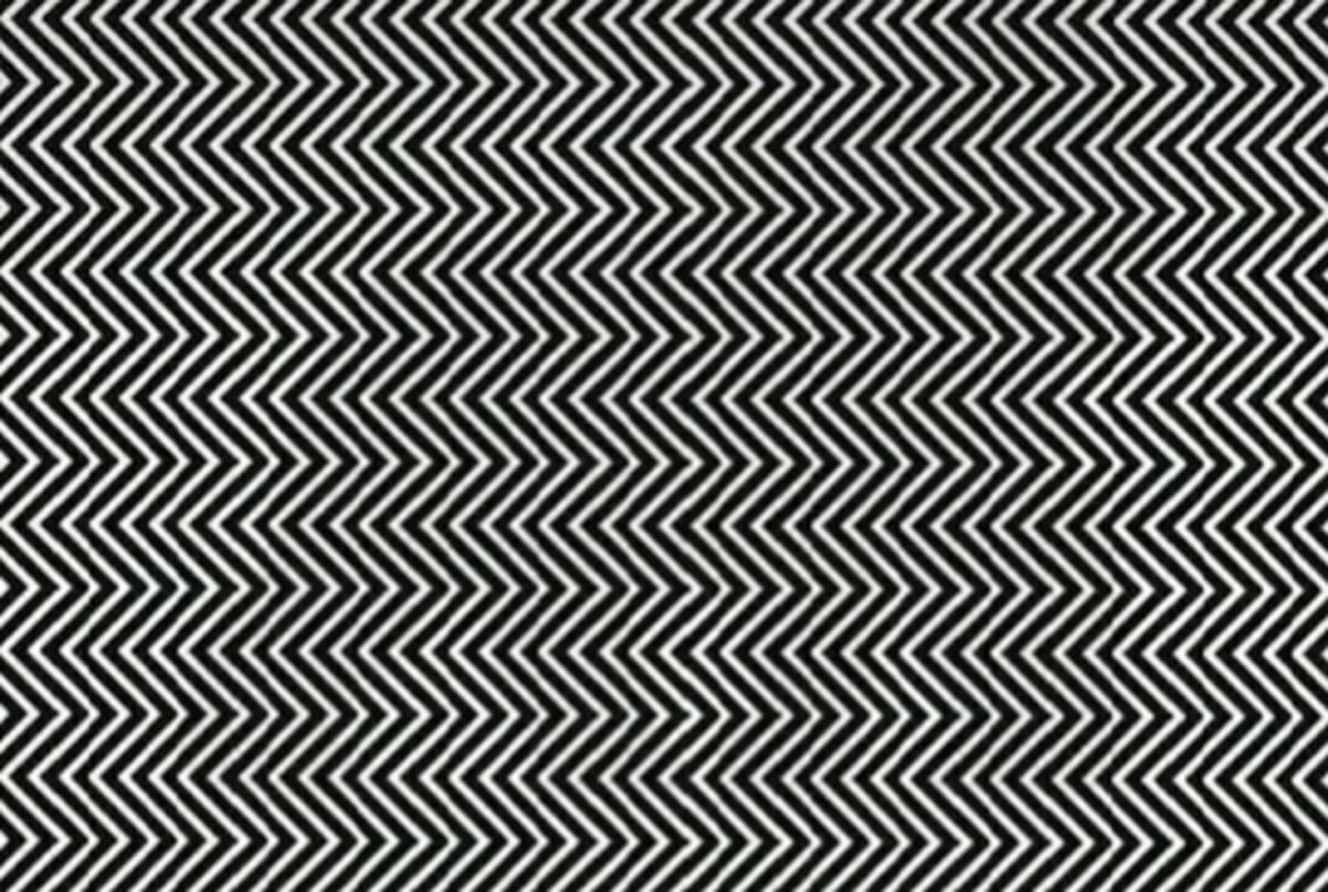 ▲TikTok網紅尼克聲稱「只有百分之一的人能直接看見圖中隱藏的動物」。（圖／翻攝TikTok@hecticnick）