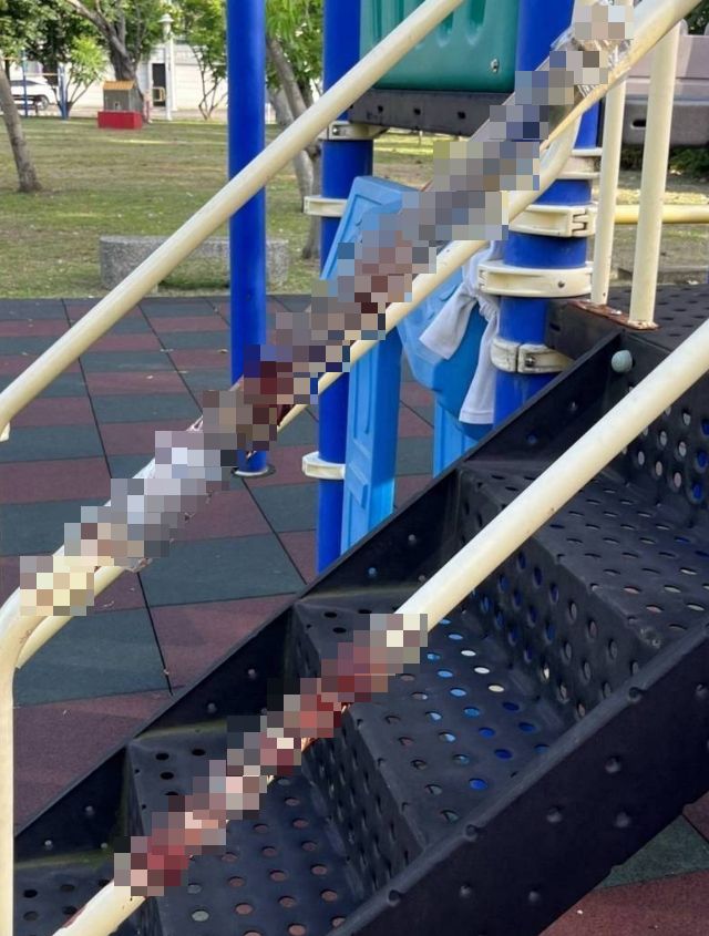台南公園溜滑梯綁西瓜刀割傷男童　涉案人被找到已病逝
