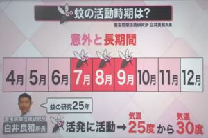 ▲日本節目訪問害蟲防除專家白井良和，他表示4月下旬到11月是蚊子的活動期，尤其7～9月是高峰，牠們最活躍的溫度則是介於25°C到30°C之間，超過35°C就會變得比較懶散虛弱。（圖／翻攝自Youtube帳號《(日テレNEWS》）