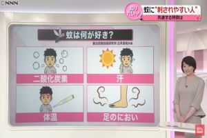總是被叮!專家曝「這些人」蚊子超愛 腳臭竟也是受災戶 ▲白井良和表示蚊子最喜歡人類身上散發出的二氧化碳、體溫、汗水以及腳臭味,因此這些人容易被叮咬。(圖/翻攝自Youtube帳號《(日テレNEWS》)