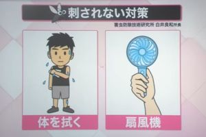 總是被叮!專家曝「這些人」蚊子超愛 腳臭竟也是受災戶 ▲專家也分享防蚊的小撇步,勤勞擦拭出汗的身體,並利用風扇吹出來的風讓蚊子不容易靠近。(圖/翻攝自Youtube帳號《(日テレNEWS》)