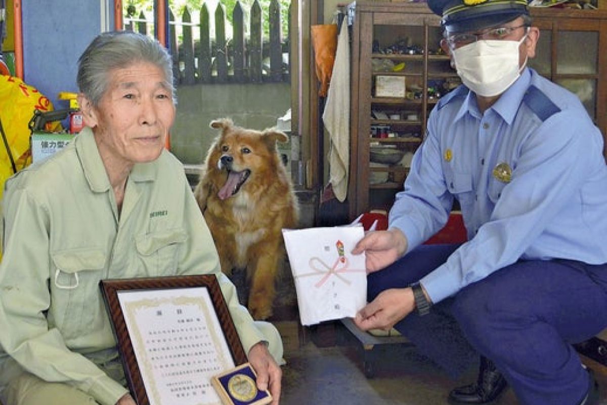 ▲半夜狗狗發出不尋常嘶吼，主人衝出門見可怕景象，結局眾人狂鼓掌。（圖／Twitter：livedoor）