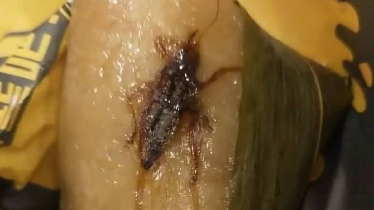 ▲有網友瘋傳，肉粽包了一塊「超大油蔥酥」，模樣讓所有人通通嚇傻。（圖／爆廢公社公開版）