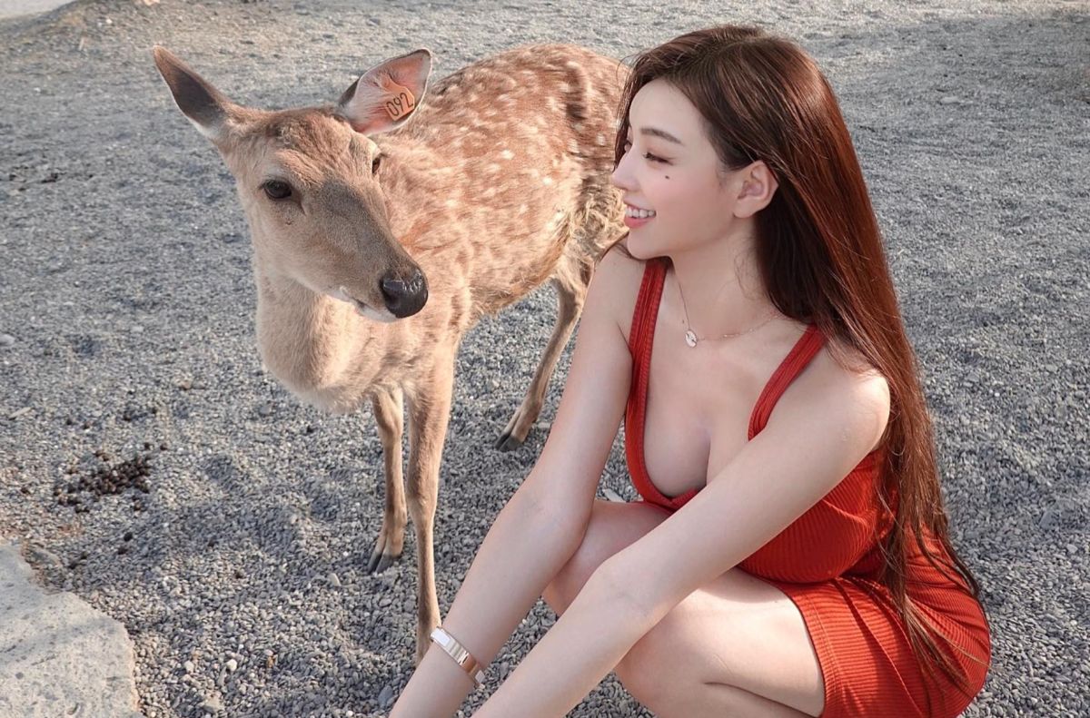 ▲野生世新女神黃琳被梅花鹿緊盯。（圖／黃琳IG）