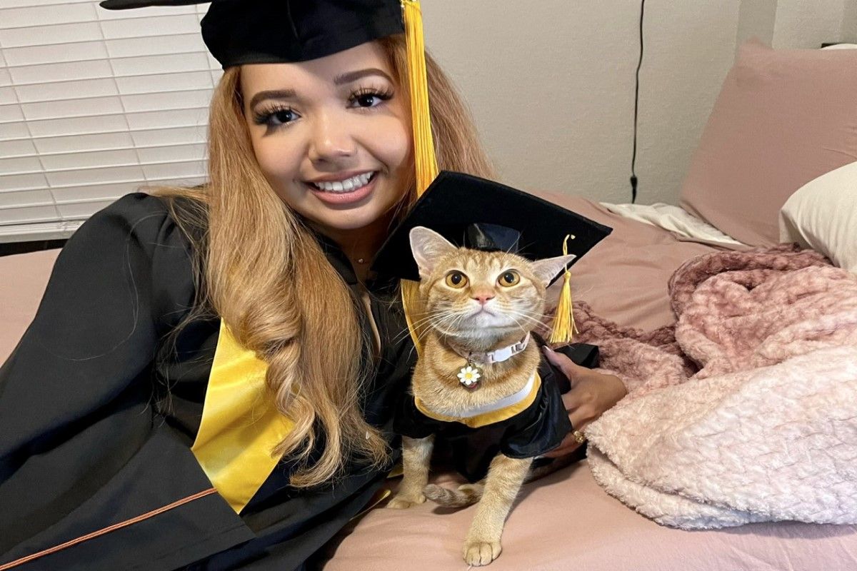 ▲美國一隻橘貓因為認真陪主人上每一堂視訊課，因此飼主也買了學士服讓牠一起畢業。（圖／推特帳號FrancescaBourdi）