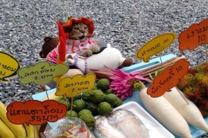 事業做很大！貓老闆路邊擺攤　每天穿著蝦趴：快來光顧喔
