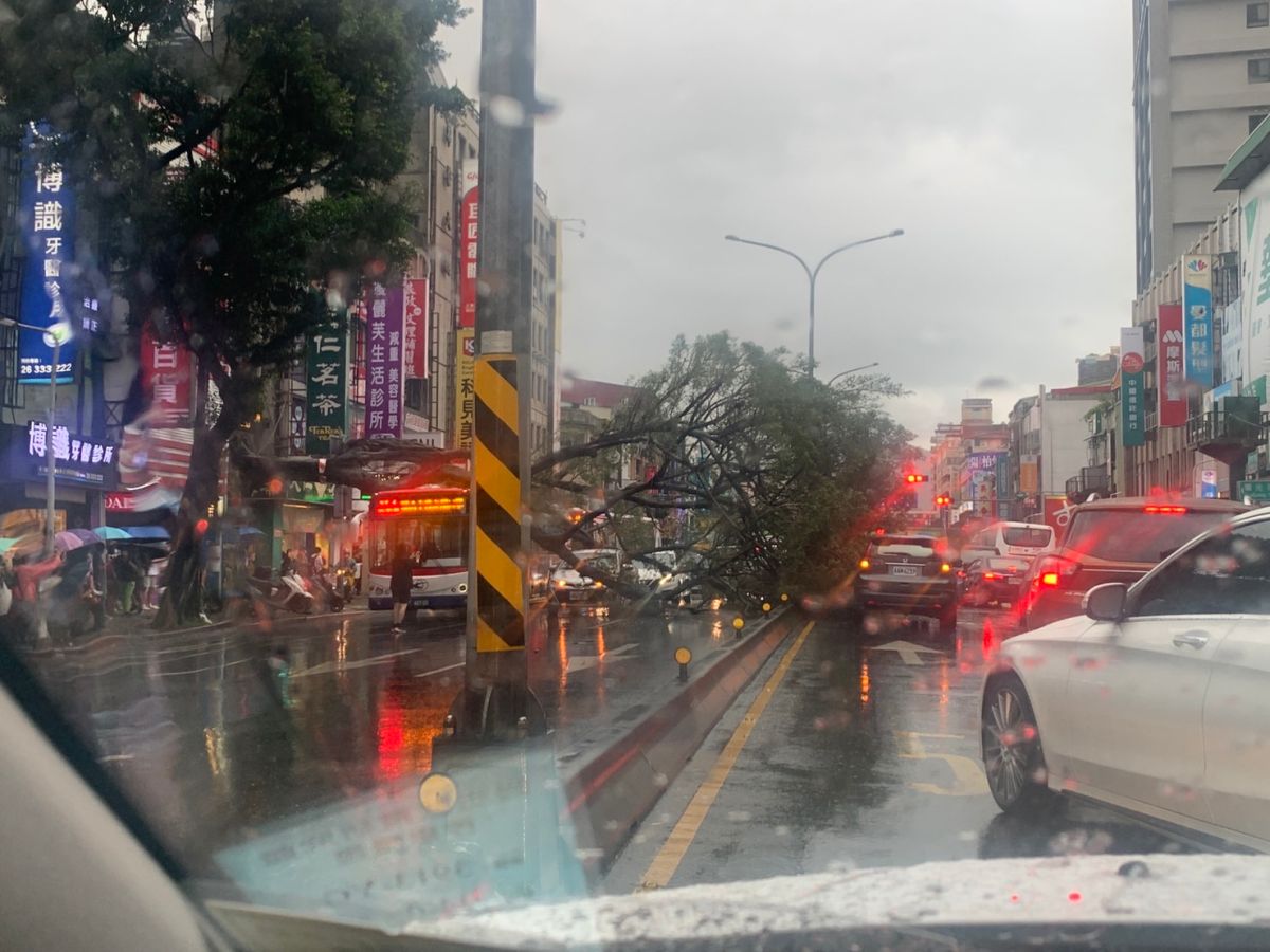 ▲台北士林區中正路上的路樹也不堪強大雨勢，遭連根拔起「橫躺」在經過的公車上，現場交通一度混亂。（圖／翻攝記者爆料網）