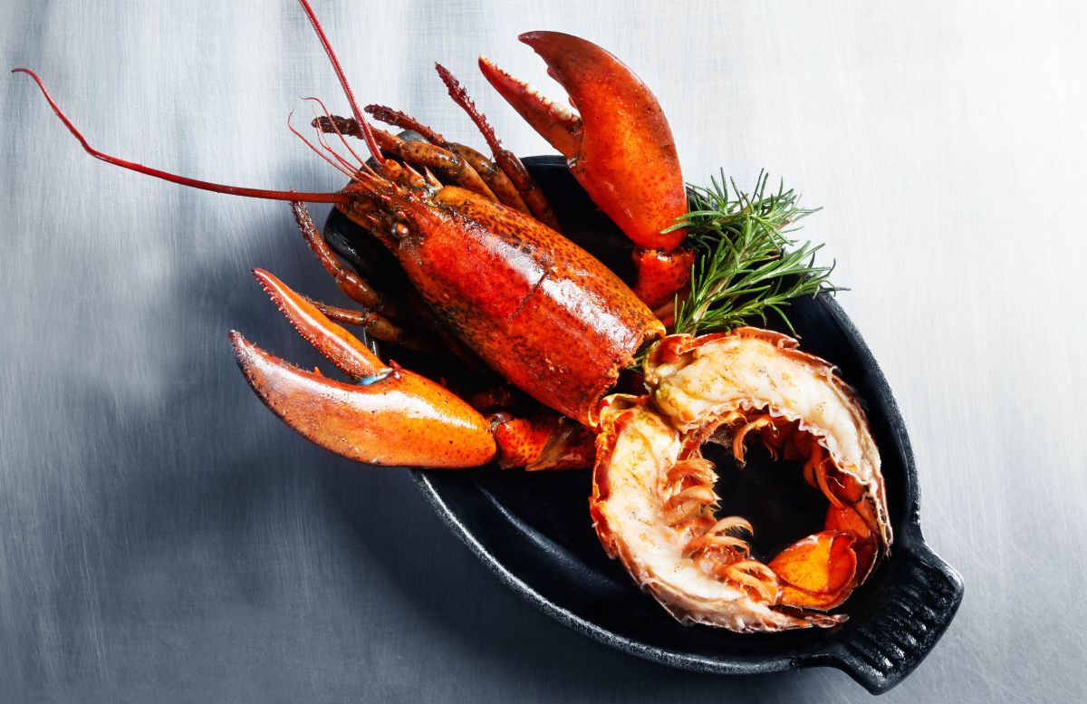 ▲王品夏慕尼鐵板燒進駐台北大直「虹光LIVE」祭出「隱藏優惠」！歡慶開幕即日起至6/30，憑官網畫面並消費兩客套餐，價值1200元波士頓龍蝦乙隻免費送。（圖／王品集團提供）