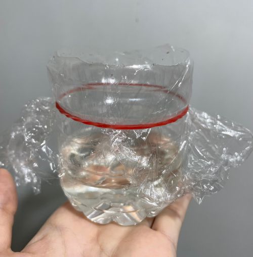 ▲內行人推薦，可用寶特瓶加入醋、洗碗精、水等，能有效抓到果蠅，又省錢。（圖／NOWNEWS資料照）