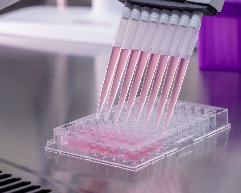 ▲高端疫苗（6547）今（7）日晚間公告，製造高端腸病毒71型疫苗的竹北廠已取得衛福部函文，通過換發PIC/S GMP工廠製造證書。（圖／翻攝自高端官網）