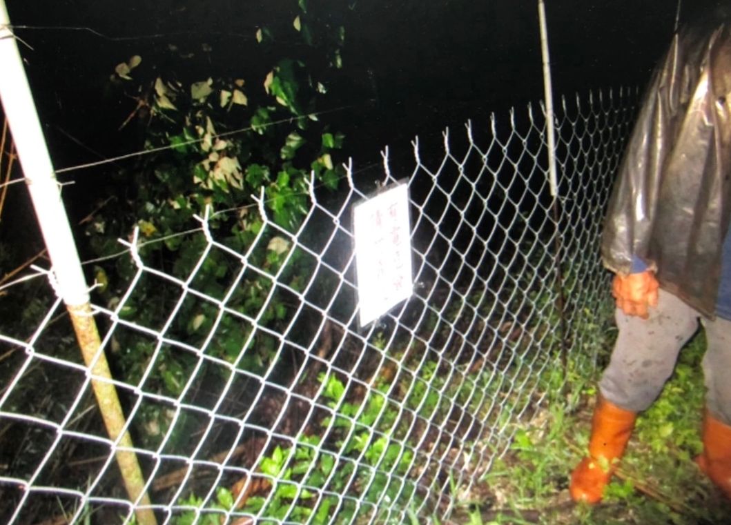 ▲呂姓果農，昨天（7日）晚間19時許，巡視自家芒果園時，疑似誤觸防猴電網，導致呂男當場喪命。（圖／翻攝畫面）