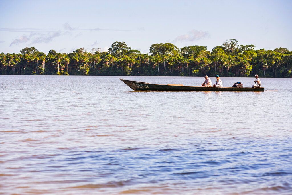 ▲哥倫比亞總統杜克（Ivan Duque）卸任在即，他宣稱自己任內成功減少森林砍伐面積，然而專家抨擊其環境政策根本「失敗」。圖為亞馬遜雨林。（圖／美聯社／達志影像）