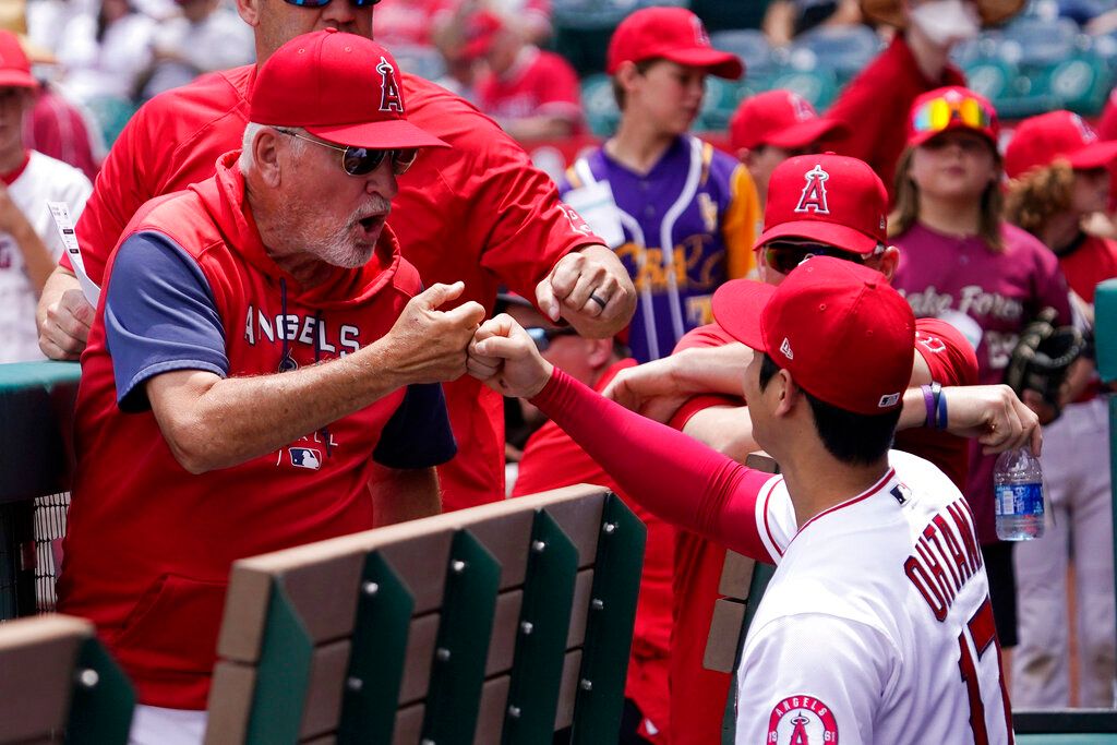 ▲Joe Maddon跟大谷翔平感情很好。（圖／美聯社／達志影像）