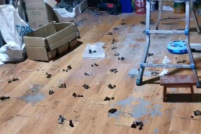 ▲地板上滿是貓咪留下的便便，看畫面似乎還有照某種規律來大。（圖／AP+ Newsflare）