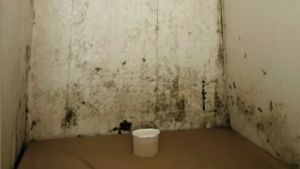 ▲一名女網友求助,房子嚴重潮濕到發霉,要退租了,房東卻說要換新壁紙,不知道費用到底要誰出?(圖/Dcard) ▲一名女網友求助,房子嚴重潮濕到發霉,要退租了,房東卻說要換新壁紙,不知道費用到底要誰出?(示意圖/Dcard)