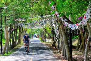 蒂芬尼綠絕美行人景觀橋 中市潭雅神綠園道安心遊 ▲潭雅神綠園道夾道成排大樹構築了一條涼爽的綠色隧道,正適合騎乘單車品味午後悠閒時光(圖/觀旅局提供2022.6.11)
