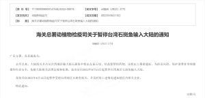 ▲中國海關總署今（10）日片面宣布，自13日起，暫停台灣石斑魚輸入中國。（圖／截自中國海關總署）