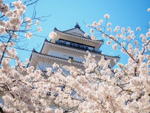 ▲日本依然是台灣民眾最有好感的旅遊國家，多達44.27%民眾解封首衝想飛日本。（圖／「風塵萬里 旅人手札」提供）