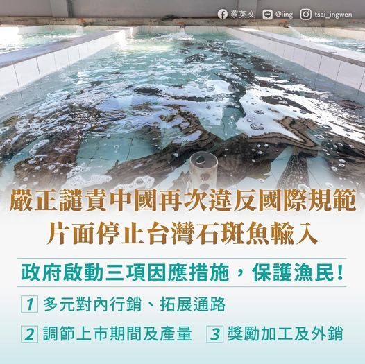 陸突禁台灣石斑魚進口！蔡英文譴責：不排除向WTO申訴
