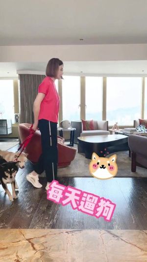 ▲關之琳每天在家閱讀、健身,還要溜兩隻狗。(圖/翻攝微博) ▲關之琳每天在家閱讀、健身,還要溜兩隻狗。(圖/翻攝微博)