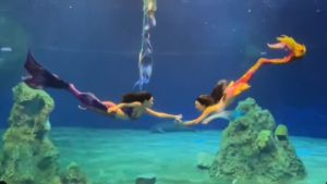 美人魚表演在花蓮海洋公園演出。(圖/《IG@__dwai》提供) ▲美人魚表演在花蓮海洋公園演出。(圖/《IG@__dwai》提供)
