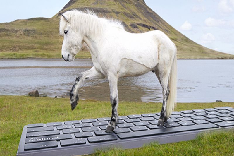 放假拒上班！冰島馬幫打「摩斯密碼」推工作　還能選個性