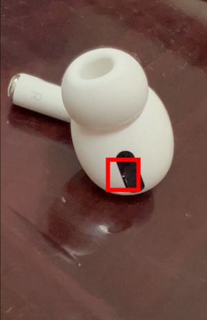 ▲原PO的airpods裡面有小白蟲。(圖/翻攝自《Dcard》) ▲原PO的airpods裡面有小白蟲。(圖/翻攝自《Dcard》)