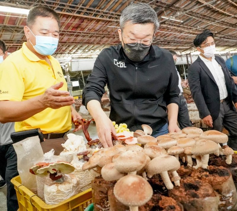 ▲蔡其昌到盛產各種鮮菇的新社區，協調廢棄太空菇包堆置用地事宜。（圖／蔡其昌辦公室提供，2022.06.17）